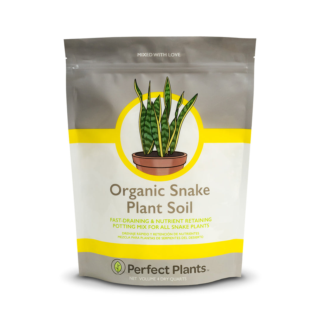 snake plant misting Buy Snake Plant Soil Mix for Sale | Buy Soil Online