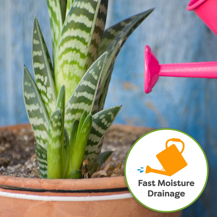 snake.plant soil Snake Plant Soil Mix - 4 Quart