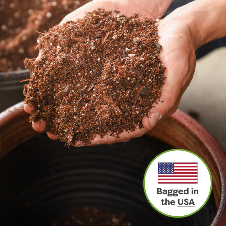 Snake Plant Soil Mix - 4 Quart