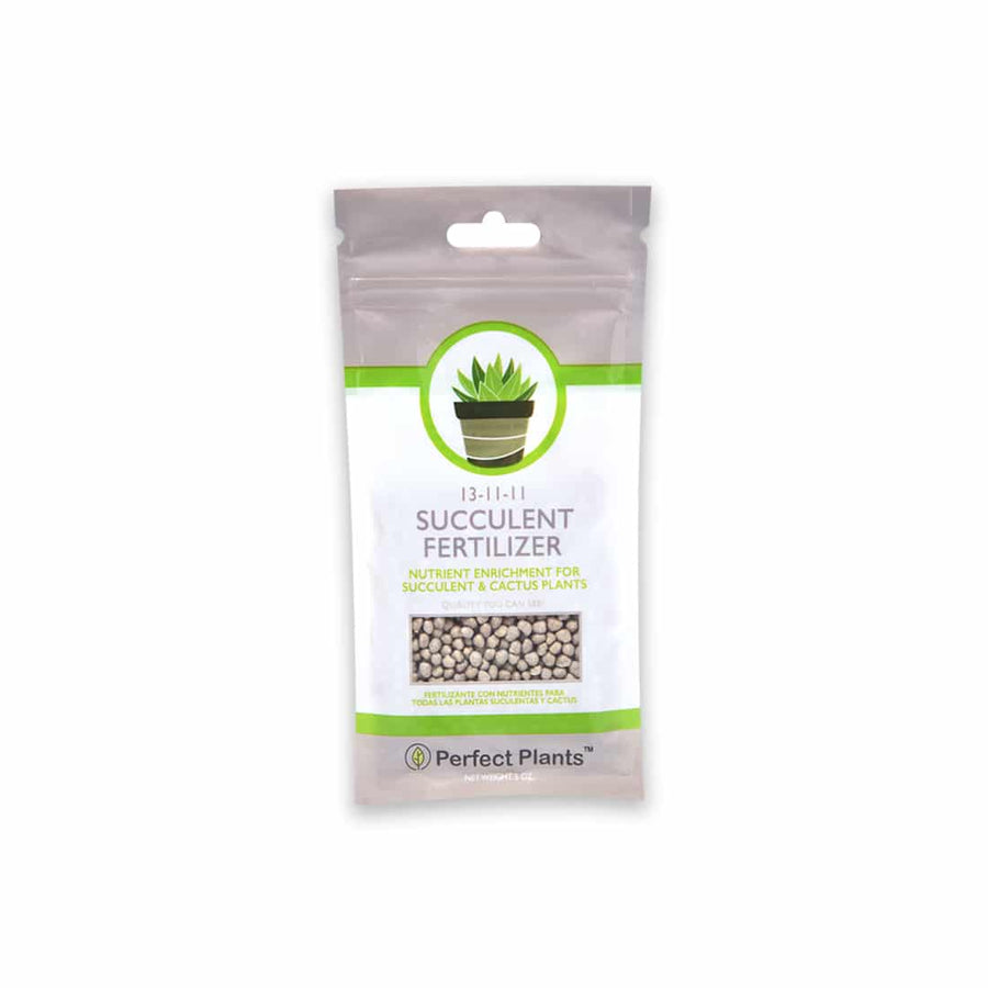 succulent fertilizer organic Succulent Fertilizer for Cactus and Succulent Plants - 5 OUNCES