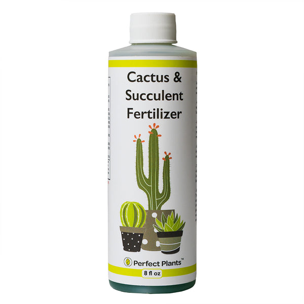 Liquid Fertilizer for Succulents and Cactus