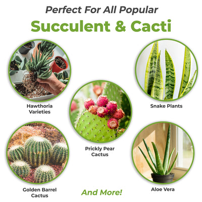 Liquid Succulent Fertilizer for Cactus and Succulent Plants