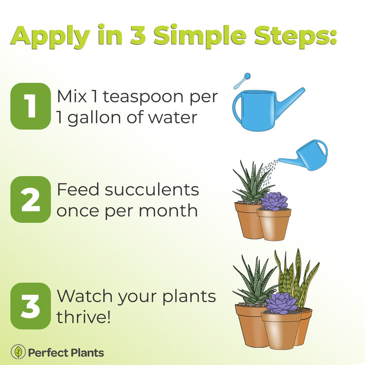 can you give plant food to succulents Liquid Fertilizer for Succulents and Cactus