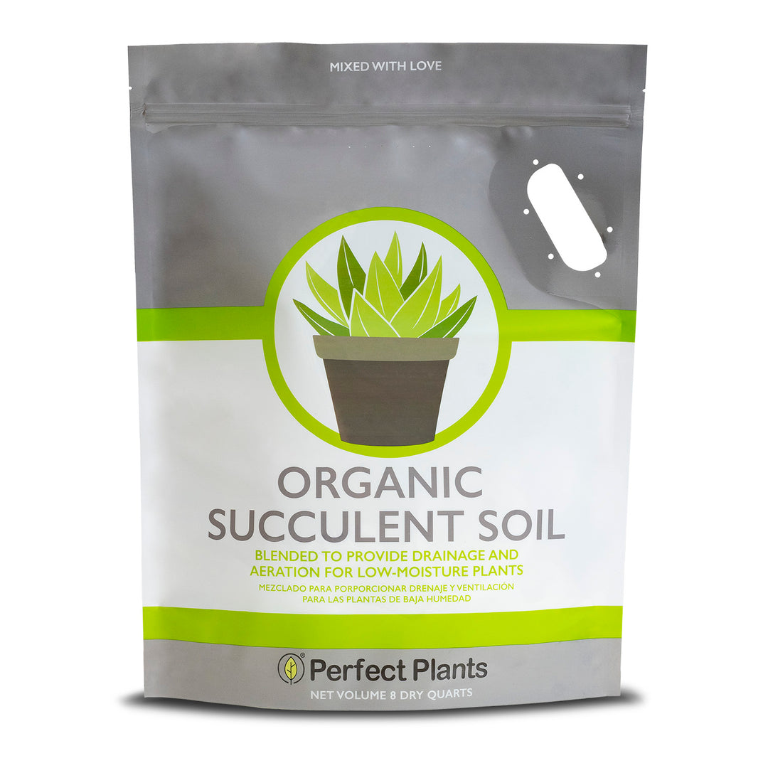 Succulent & Cactus Soil - 4 Quarts