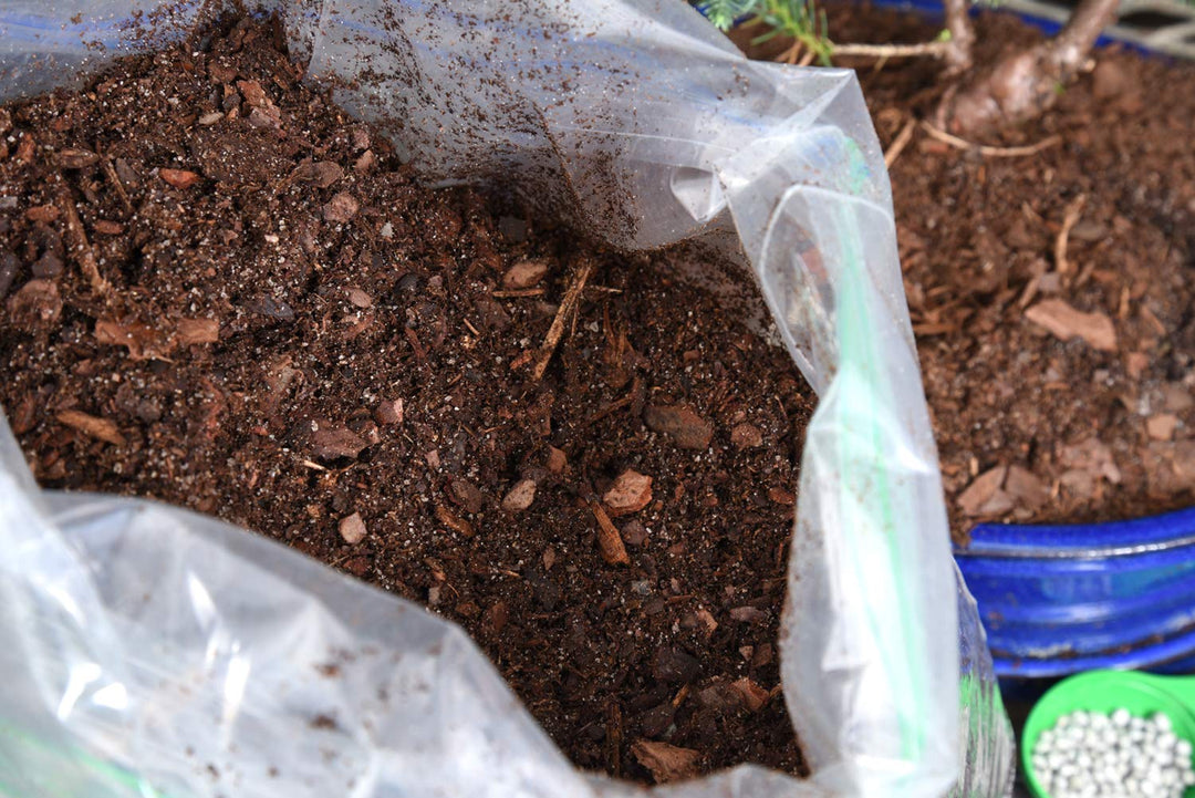 Bonsai Soil by Perfect Plants - 8qts. | Premium All-Purpose Mix