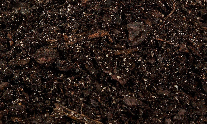 ph of potting mix Acidic Potting Soil