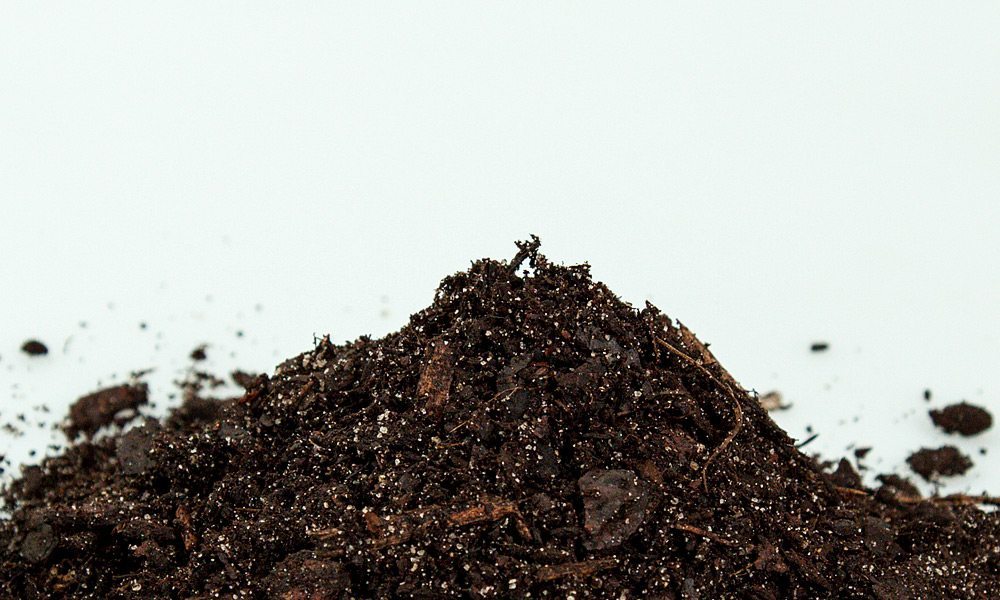 acidic potting soil mix Acidic Potting Soil