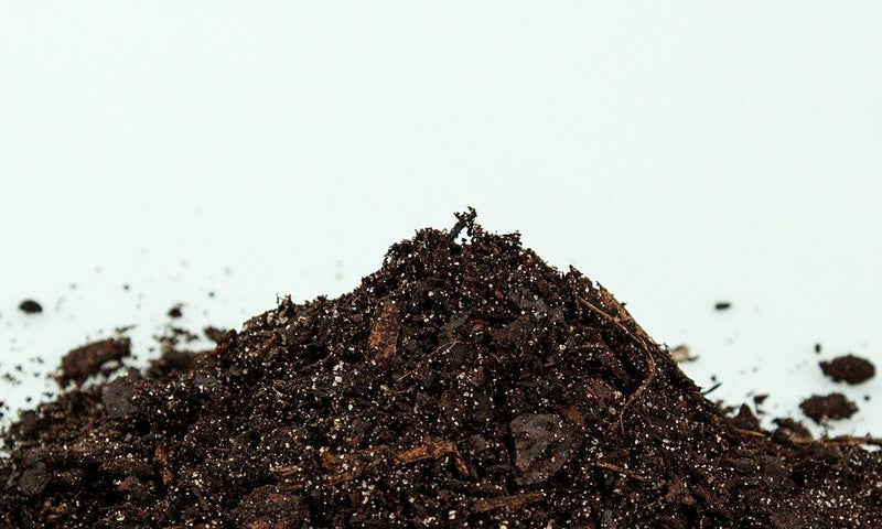 acid potting mix Acidic Potting Soil