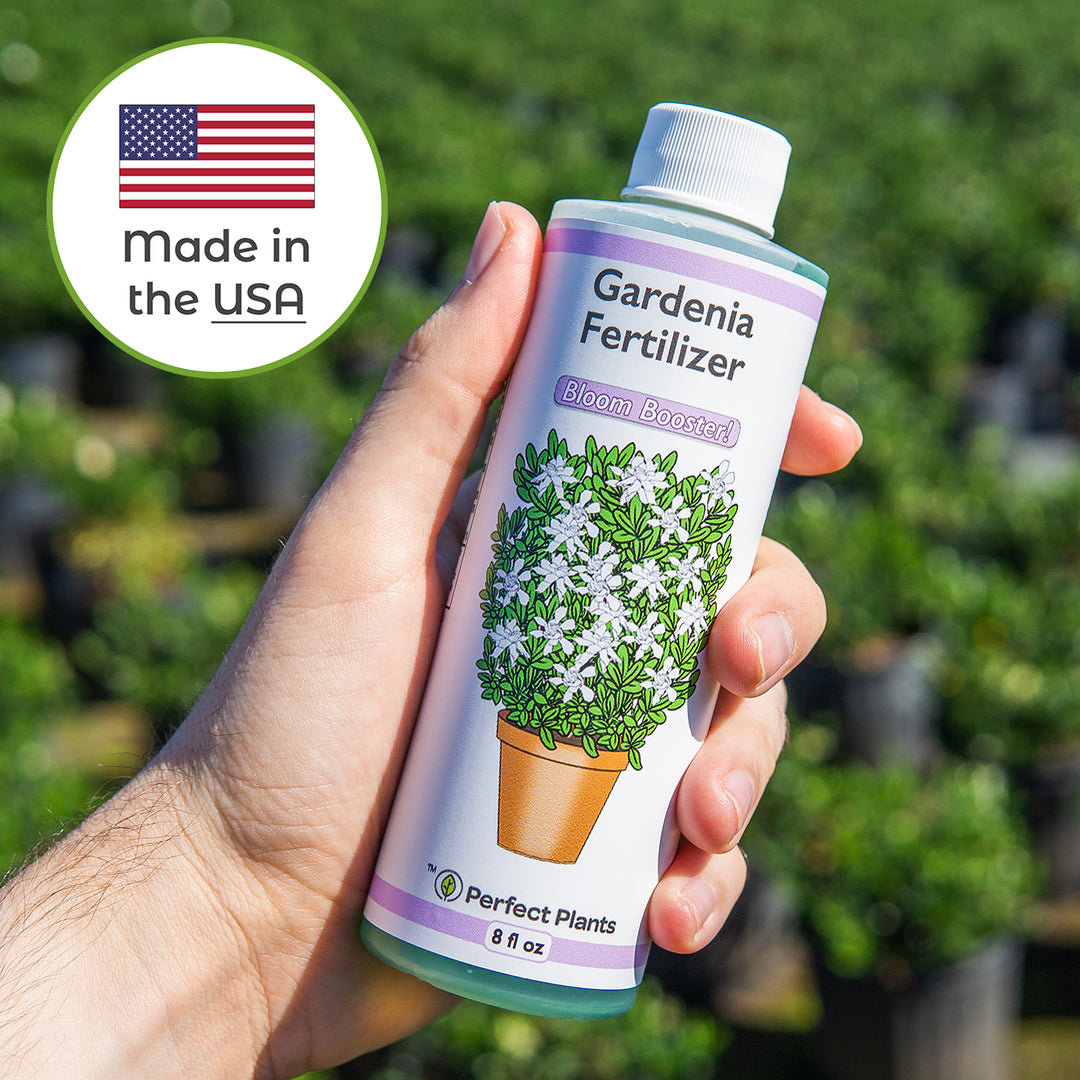 best plant fertilizer for indoor plants Liquid Fertilizer for Gardenias - 8 fl oz