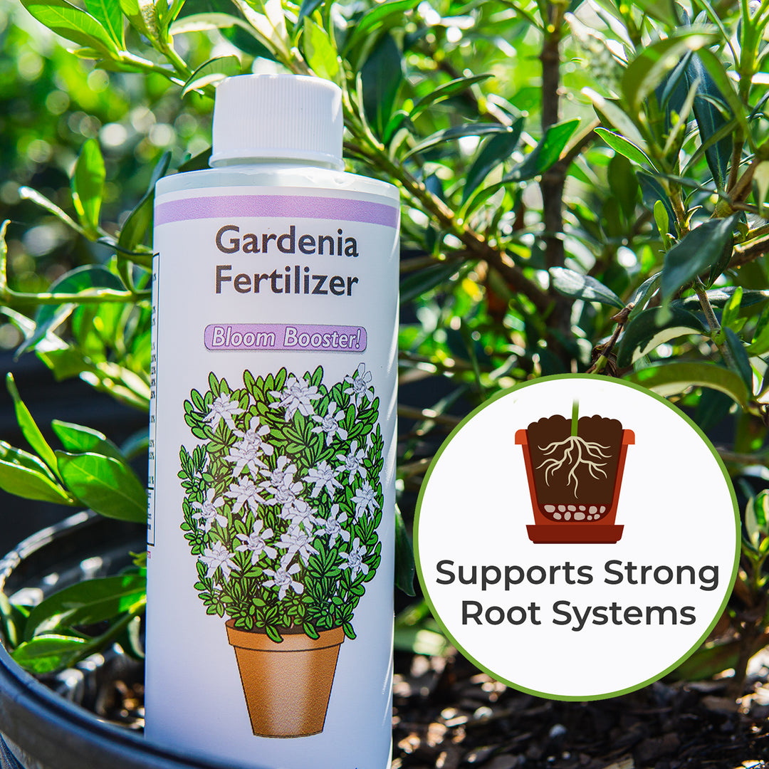 best fertilizer for jasmine plants Liquid Fertilizer for Gardenias - 8 fl oz