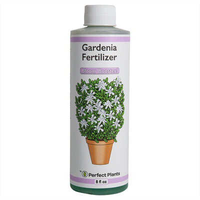best fertilizer for mogra plant Liquid Fertilizer for Gardenias - 8 fl oz