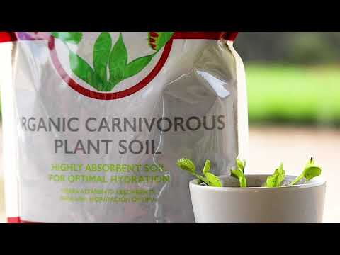 Organic Carnivorous Plant Soil Mix