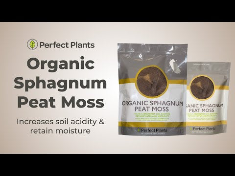 Buy Organic Sphagnum Peat Moss for Sale