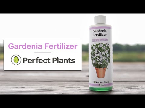 Liquid Fertilizer for Gardenias - 8 fl oz