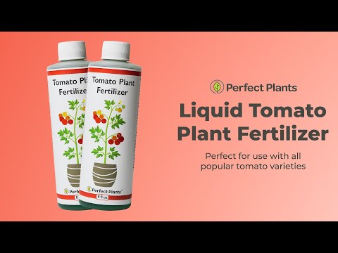 Liquid Fertilizer for Tomotoes