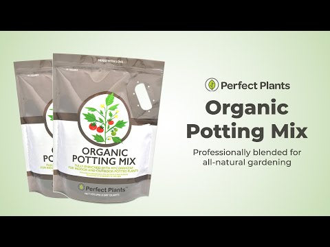 Organic Potting Mix for Sale | Best Organic Potting Soil