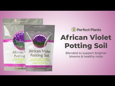Buy Hand Mixed African Violet Soil Mix for Sale | Perfect Plants