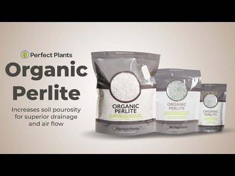 Organic Perlite for Plants