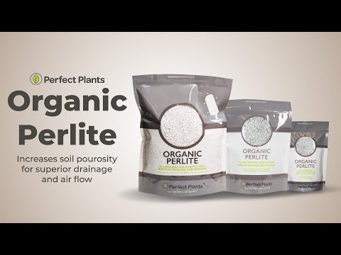 best perlite for indoor plants Organic Perlite for Plants | Perlite for Sale