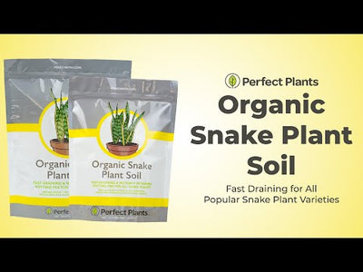 Snake Plant Soil Mix
