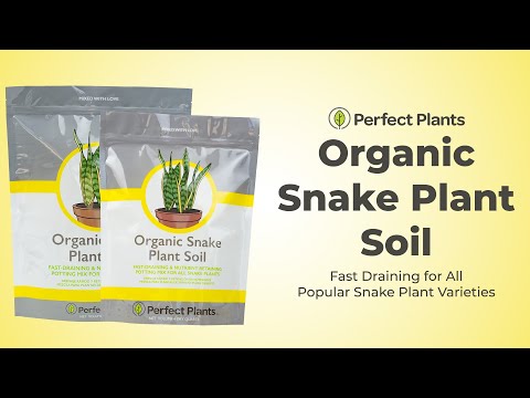 Snake Plant Soil Mix - 4 Quart