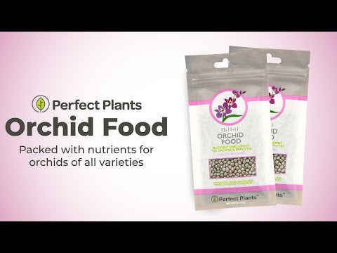 is orchid fertilizer good for air plants Orchid Food by Perfect Plants Resealable 5oz. Bag Bloom Booster for 5 oz