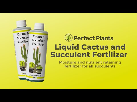 Liquid Fertilizer for Succulents and Cactus