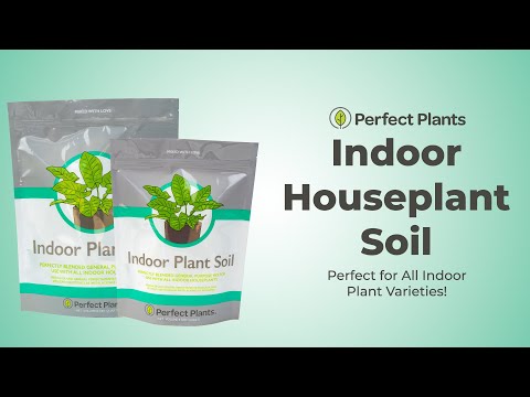 is potting mix safe for indoor plants Buy Indoor Plant Soil Mix for All Houseplants