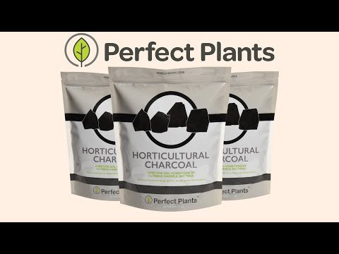 charcoal for plant pots Horticultural Charcoal - 24 oz bag