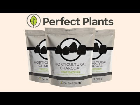 Buy Hoffman Horticultural Charcoal Online