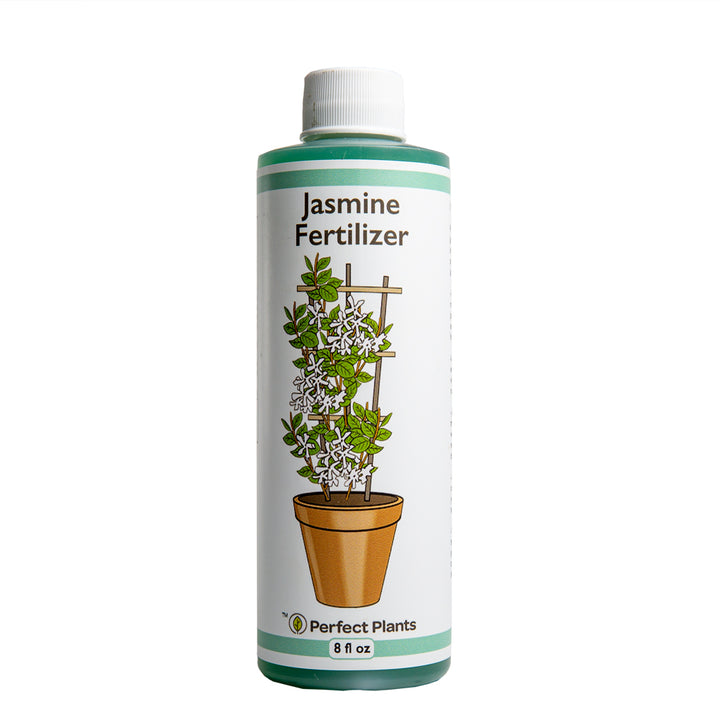 best liquid fertiliser for indoor plants Liquid Jasmine Fertilizer - 8 fl oz
