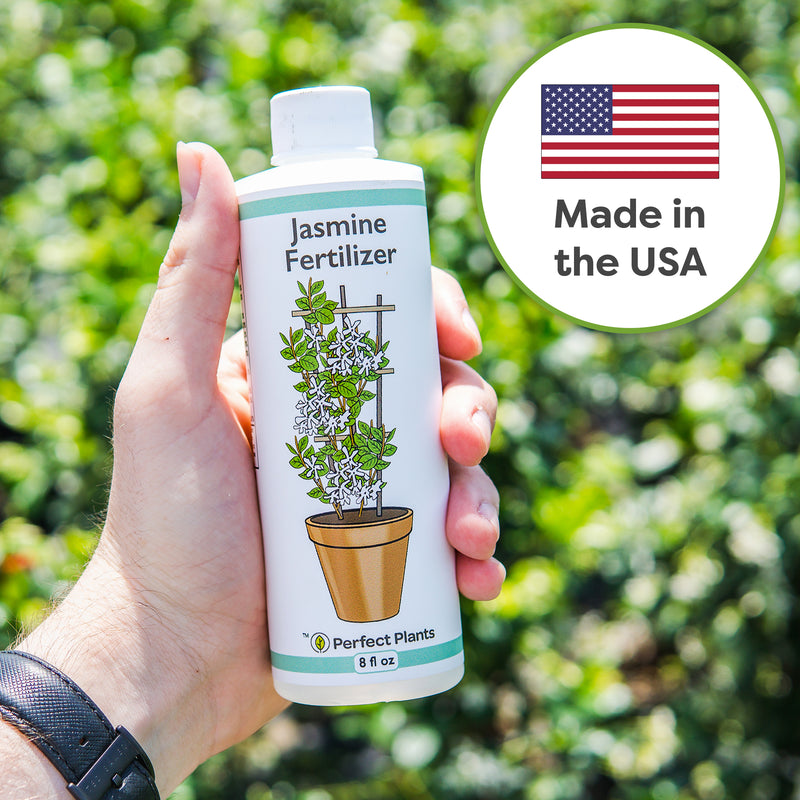 Liquid Jasmine Fertilizer For Sale Buy Fertilizer Online Perfect Plants liquid-jasmine-fertilizer-for-sale-buy-fertilizer-online-perfect-plants