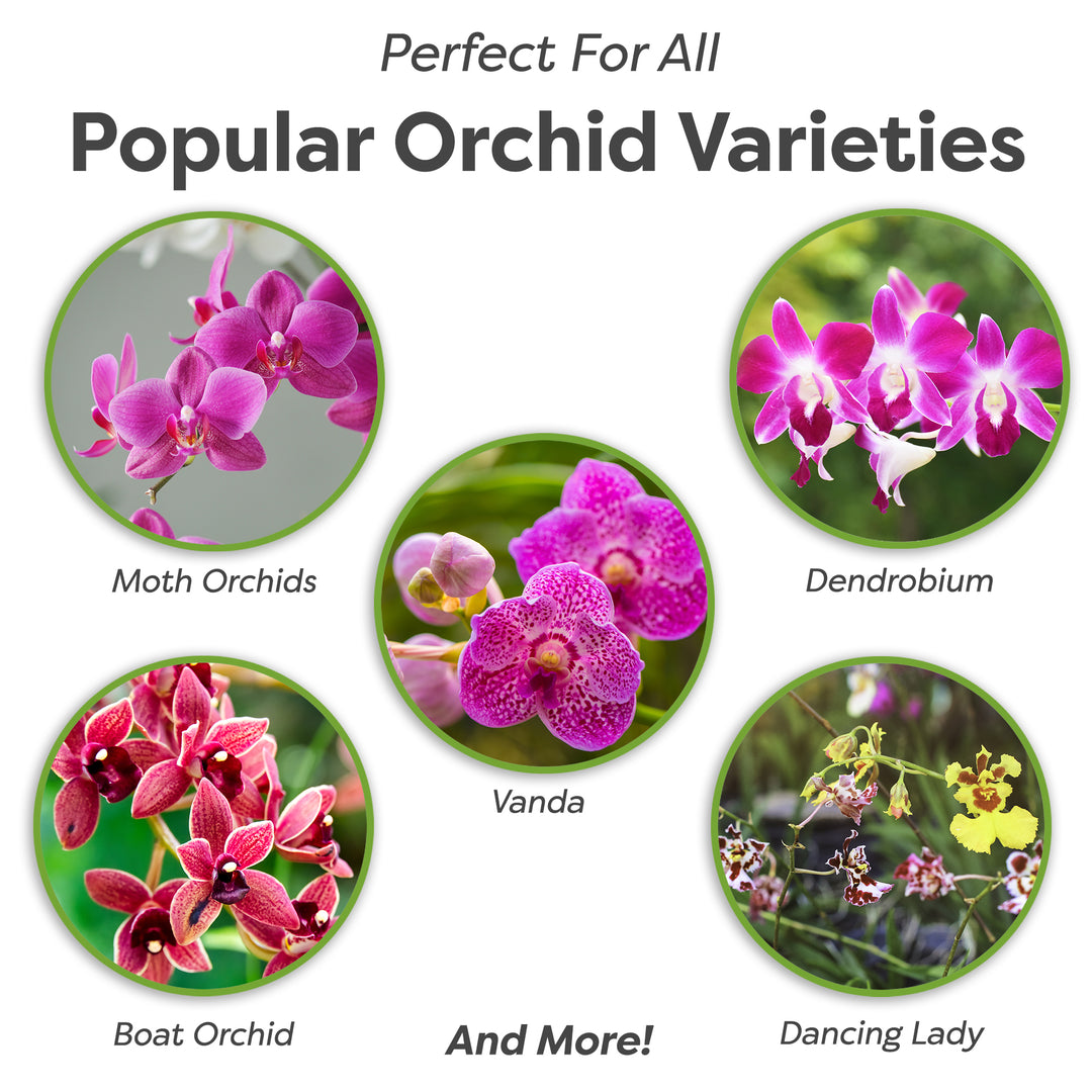 can i use orchid potting mix for pothos Organic Orchid Potting Mix for All Orchid Types