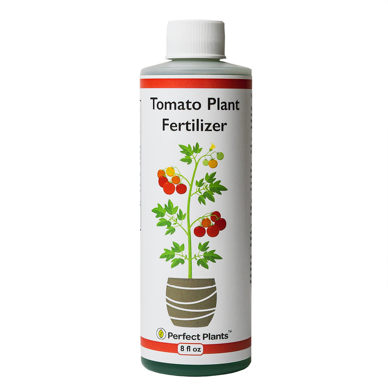 tomato plants and fertilizer Liquid Fertilizer for Tomotoes