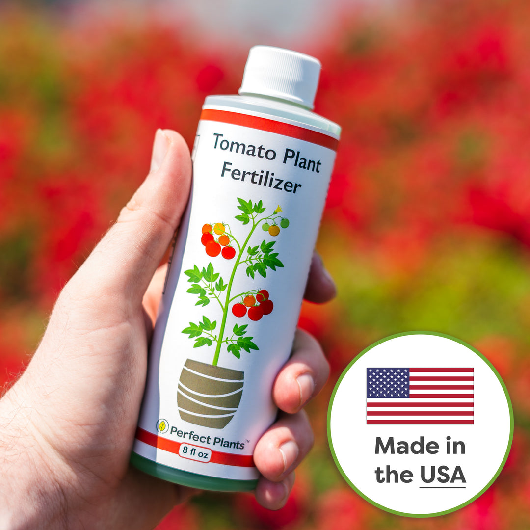 Liquid Fertilizer for Tomotoes | Perfect Plants