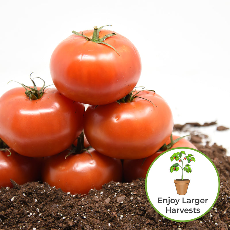 Liquid Tomato Fertilizer