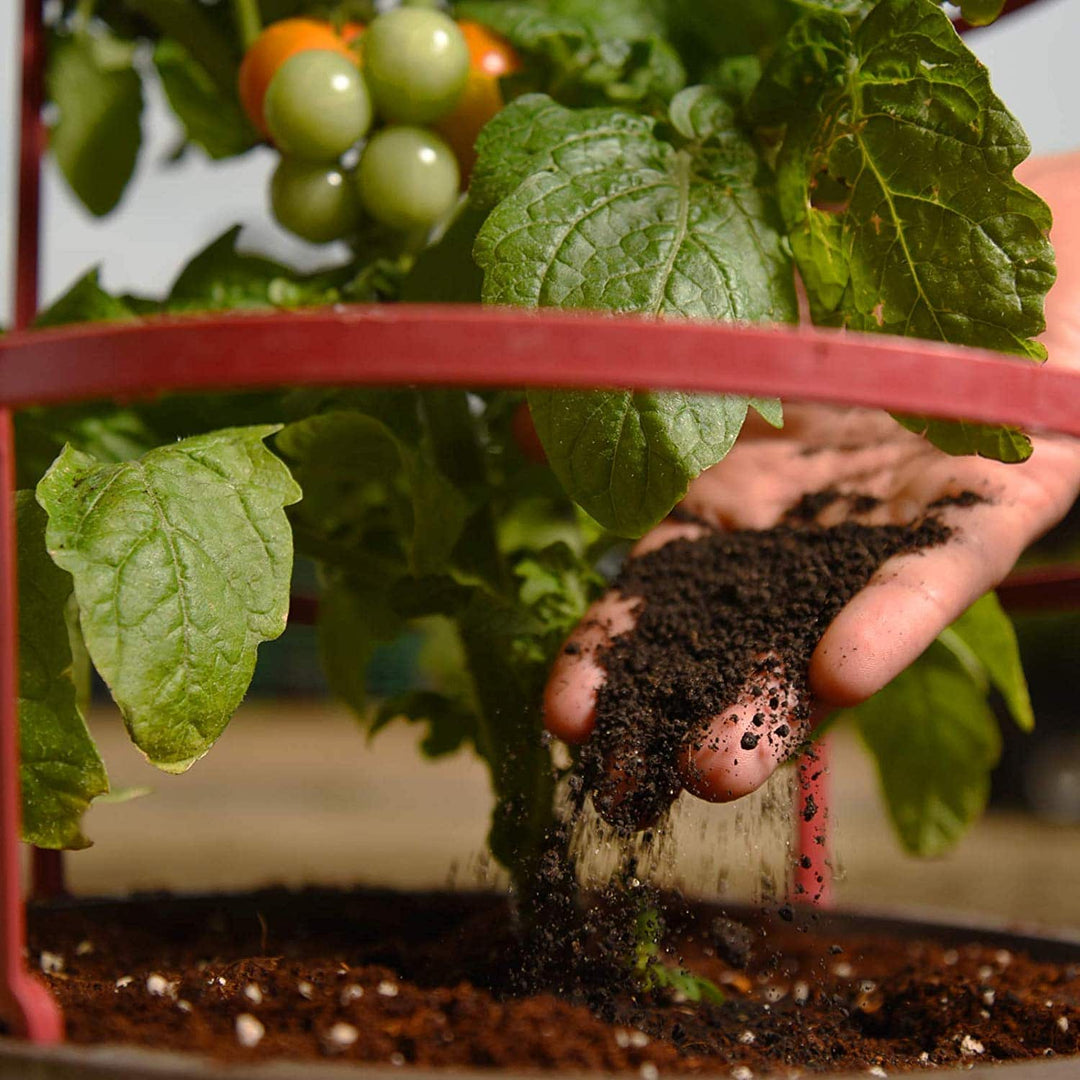 worm castings for fiddle leaf fig Organic Worm Castings