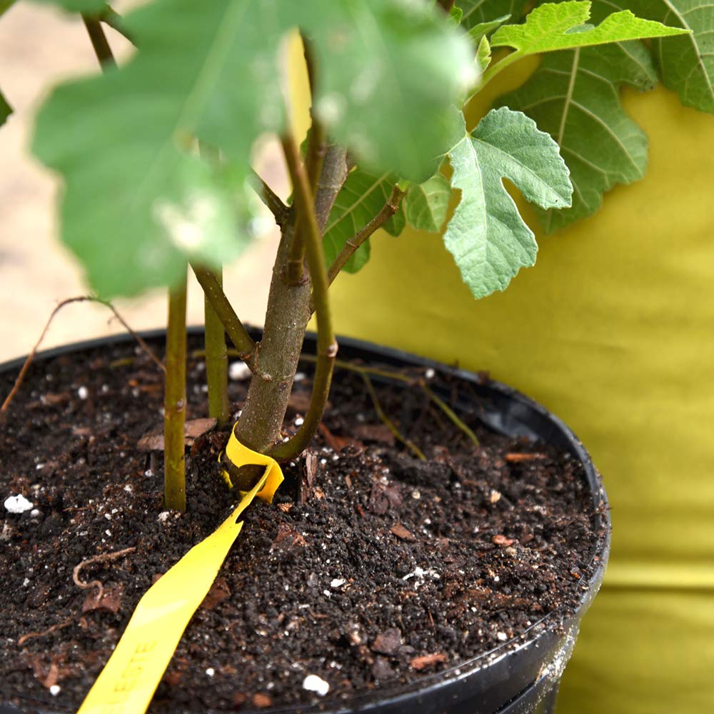 worm castings for indoor plants Organic Worm Castings for Sale | All Natural Fertilizer