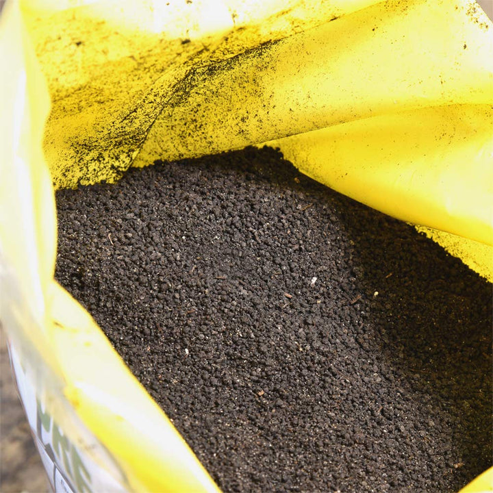 worm castings for pothos Organic Worm Castings for Sale | All Natural Fertilizer
